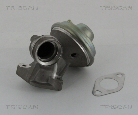 TRISCAN AGR-Ventil