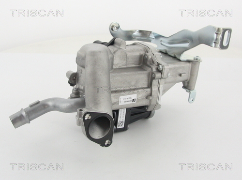 TRISCAN AGR-Ventil