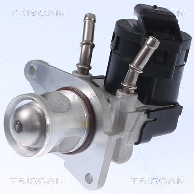 TRISCAN AGR-Ventil