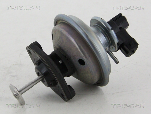 TRISCAN AGR-Ventil