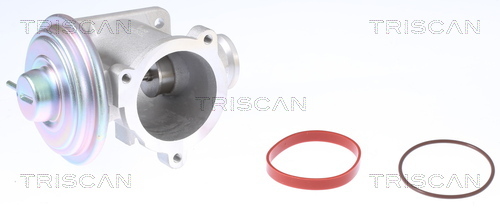 TRISCAN AGR-Ventil