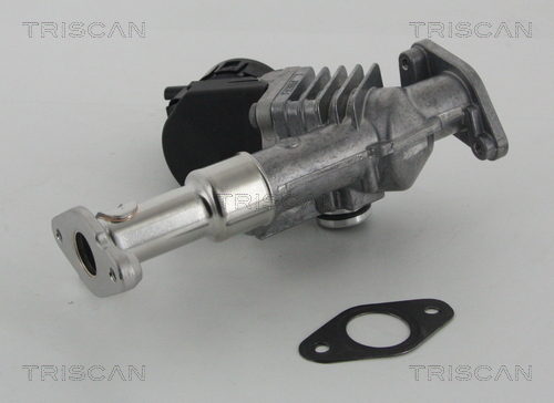 TRISCAN AGR-Ventil
