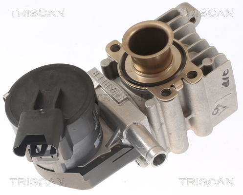 TRISCAN AGR-Ventil