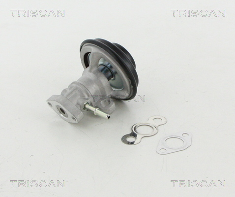 TRISCAN AGR-Ventil