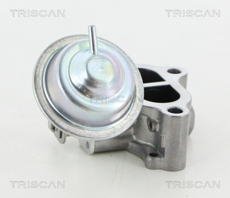 TRISCAN AGR-Ventil
