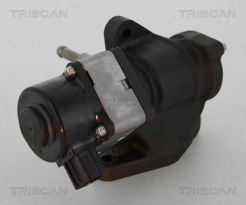 TRISCAN AGR-Ventil