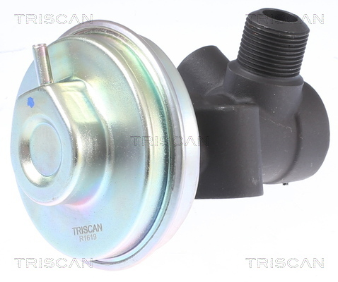 TRISCAN AGR-Ventil