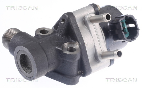 TRISCAN AGR-Ventil