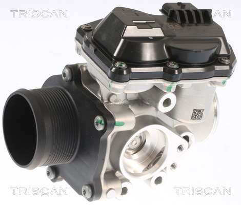 TRISCAN AGR-Ventil