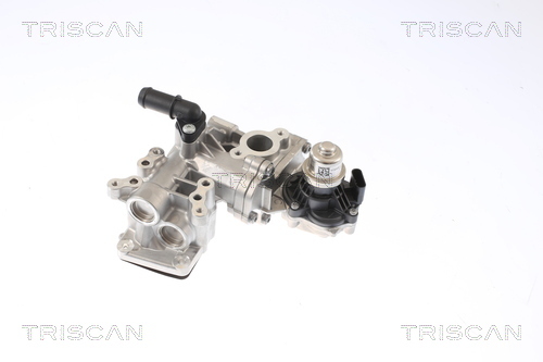 TRISCAN AGR-Ventil