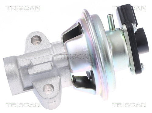 TRISCAN AGR-Ventil