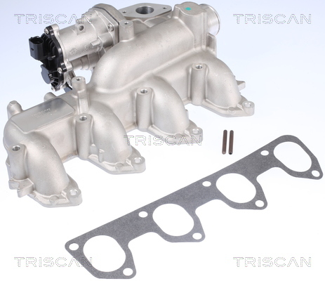 TRISCAN AGR-Ventil