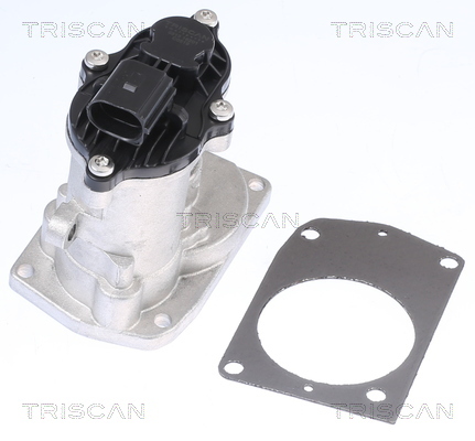 TRISCAN AGR-Ventil