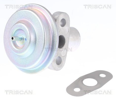 TRISCAN AGR-Ventil