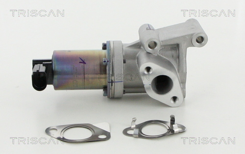 TRISCAN AGR-Ventil
