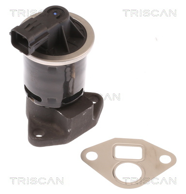 TRISCAN AGR-Ventil