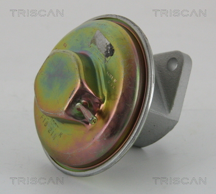 TRISCAN AGR-Ventil