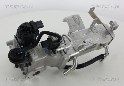 TRISCAN AGR-Ventil