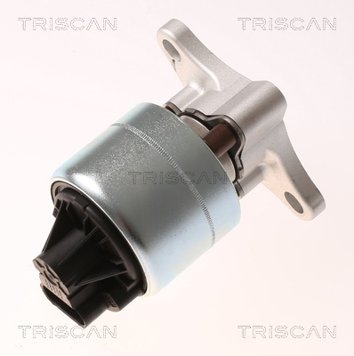 TRISCAN AGR-Ventil