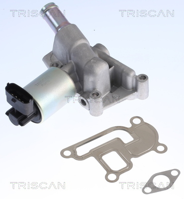 TRISCAN AGR-Ventil