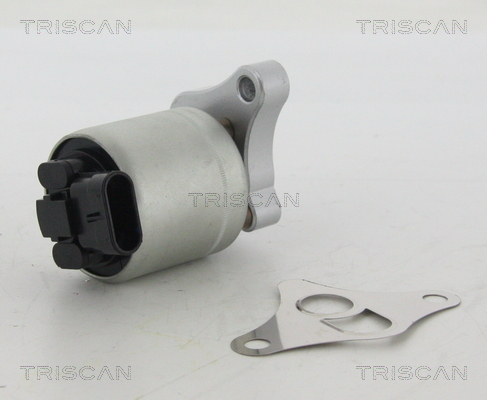 TRISCAN AGR-Ventil