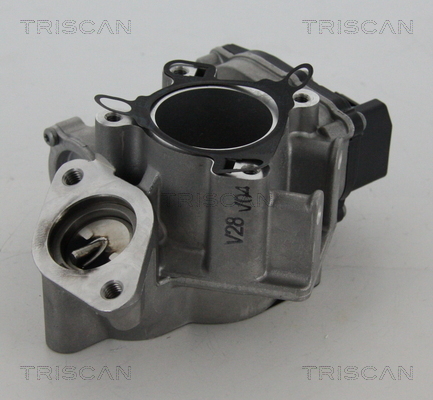 TRISCAN AGR-Ventil