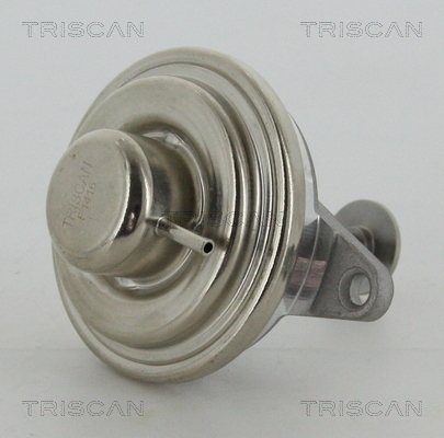 TRISCAN AGR-Ventil