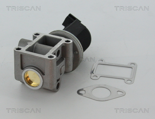 TRISCAN AGR-Ventil