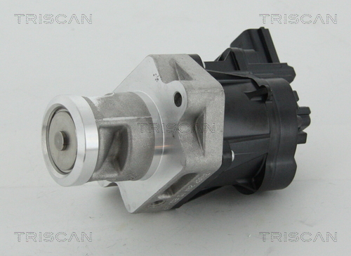 TRISCAN AGR-Ventil