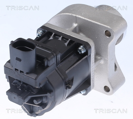 TRISCAN AGR-Ventil