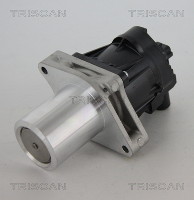TRISCAN AGR-Ventil