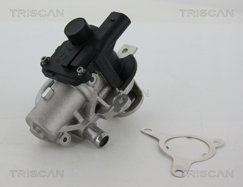 TRISCAN AGR-Ventil