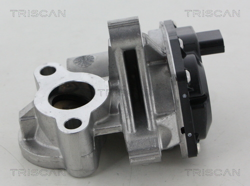 TRISCAN AGR-Ventil