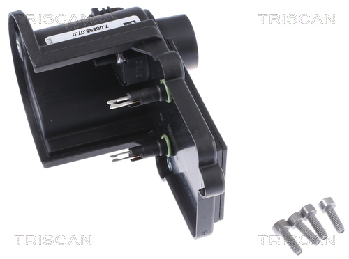 TRISCAN AGR-Ventil