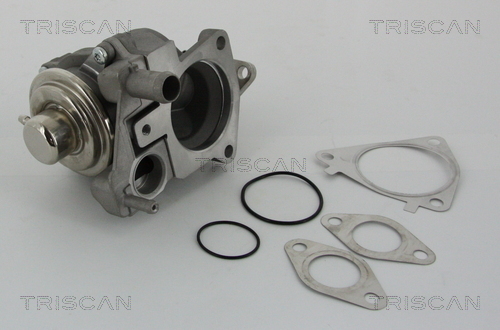 TRISCAN AGR-Ventil