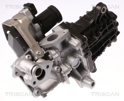 TRISCAN AGR-Ventil