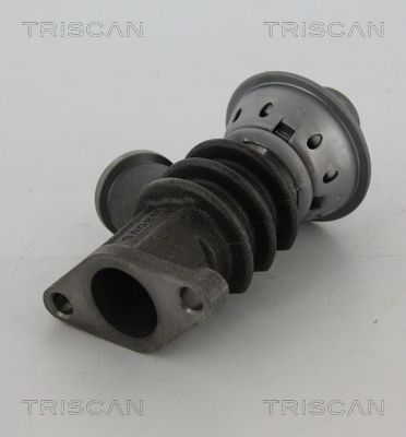 TRISCAN AGR-Ventil