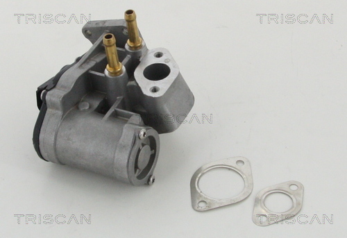 TRISCAN AGR-Ventil