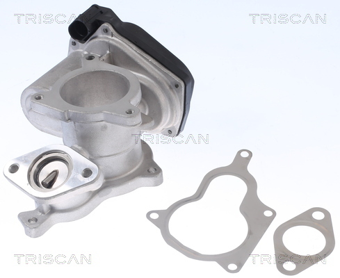 TRISCAN AGR-Ventil