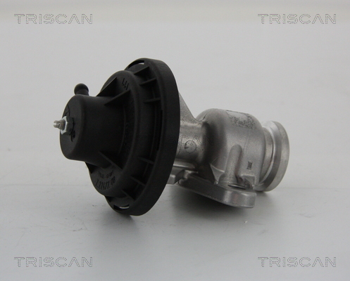 TRISCAN AGR-Ventil