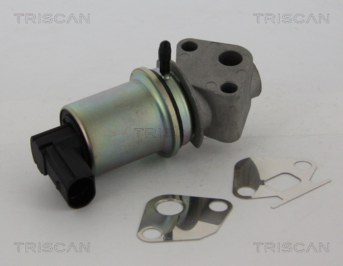 TRISCAN AGR-Ventil