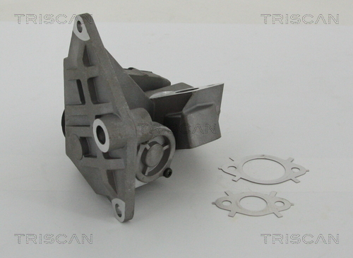 TRISCAN AGR-Ventil