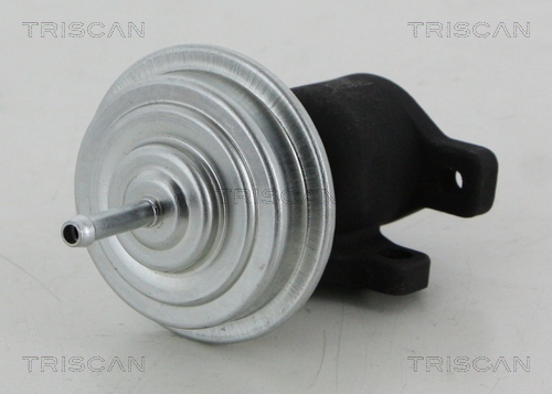 TRISCAN AGR-Ventil