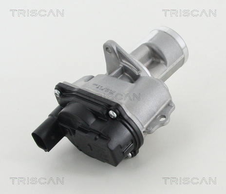 TRISCAN AGR-Ventil