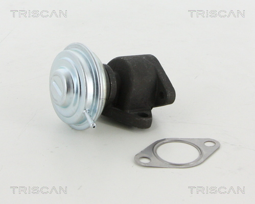 TRISCAN AGR-Ventil