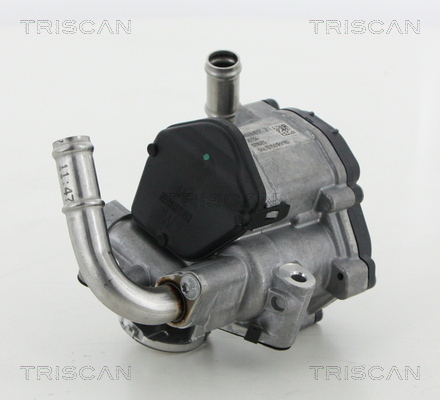 TRISCAN AGR-Ventil
