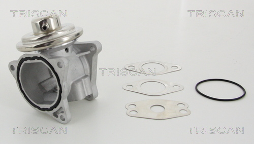 TRISCAN AGR-Ventil