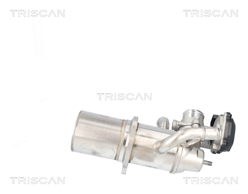 TRISCAN AGR-Ventil