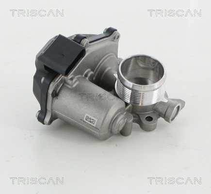 TRISCAN AGR-Ventil