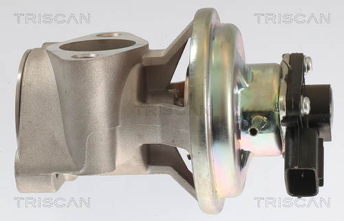 TRISCAN AGR-Ventil